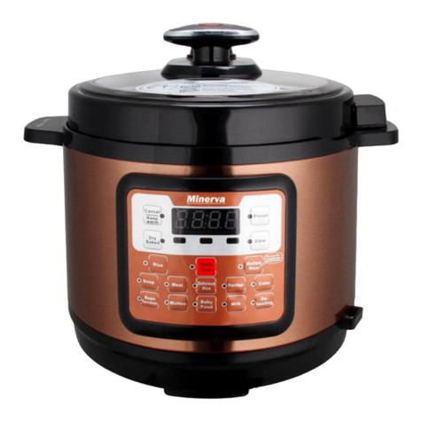 Minerva D508 user manual