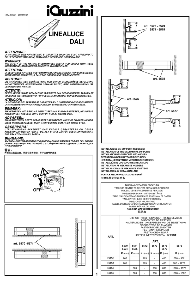 iGuzzini B856 manual