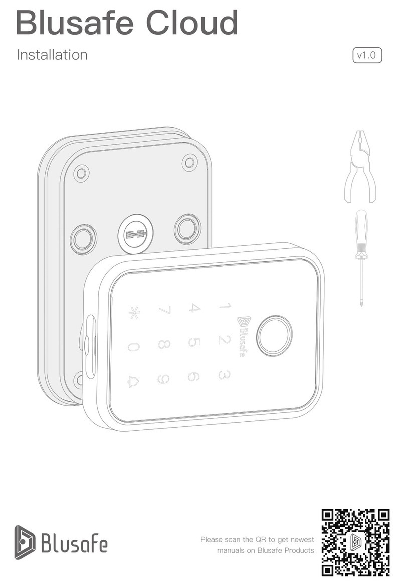 Blusafe Cloud User manual