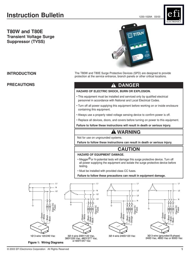 EFI T80W quick start guide