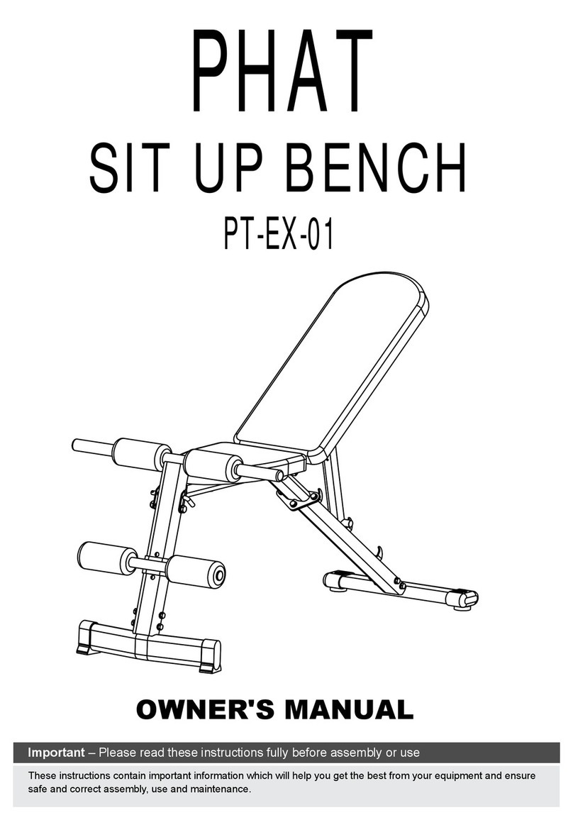 PHAT PT-EX-01 owner's manual