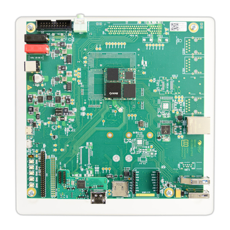 iesy Open Standard Module RPX30 EVA-MI V1 User manual