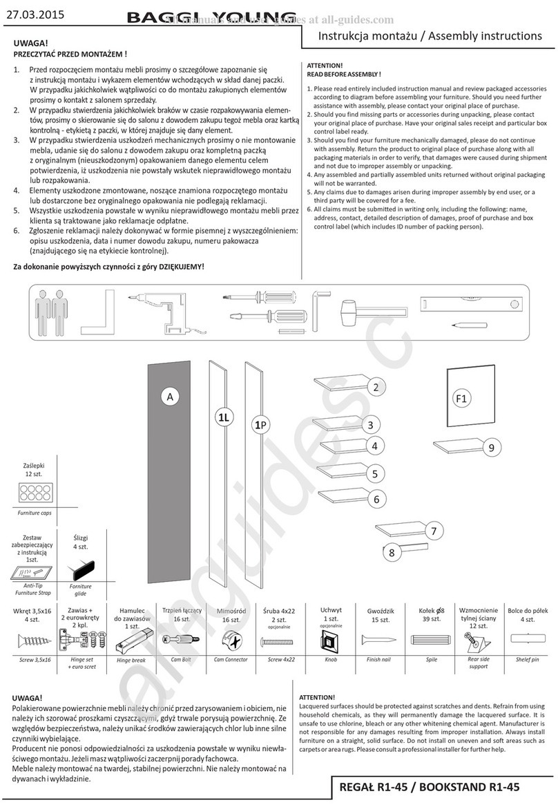 BAGGI YOUNG R1-45 Assembly instructions