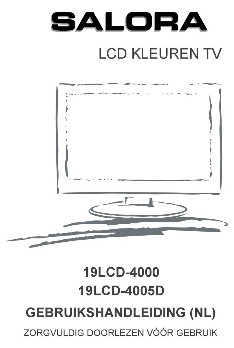 Salora 19LCD-4000 User manual