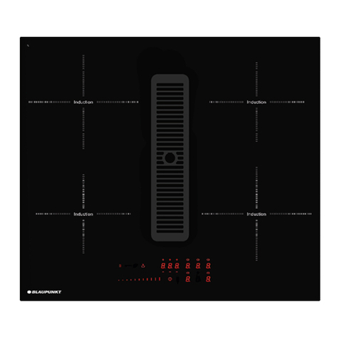 Blaupunkt 5IX60290 User manual