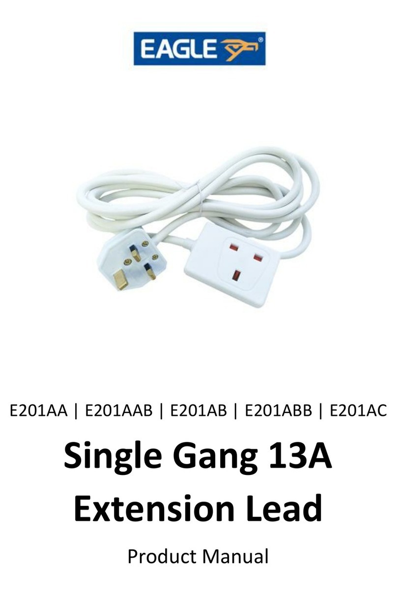 Eagle Single Gang 13A product manual
