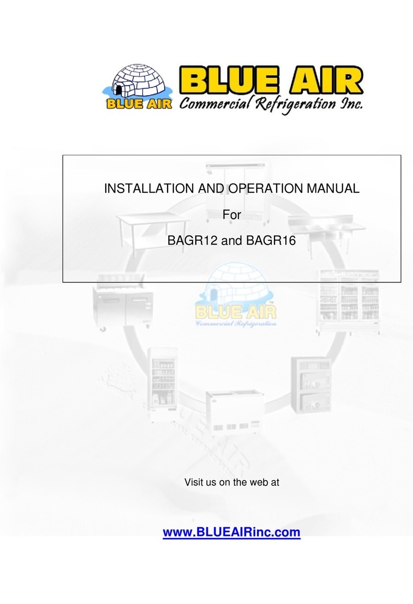 Blueair BAGR12 Installation and operation manual Blueair BAGR12 Installation and operation manual