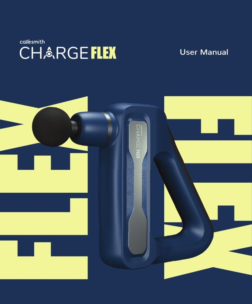 caresmith CHARGE FLEX user manual