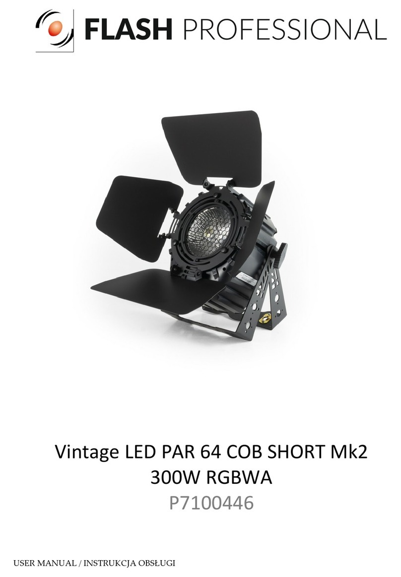 Flash professional P7100446 User manual