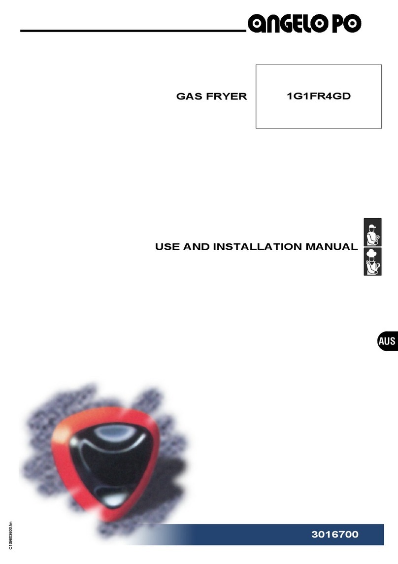 Angelo Po 1G1FR4GD Technical specifications