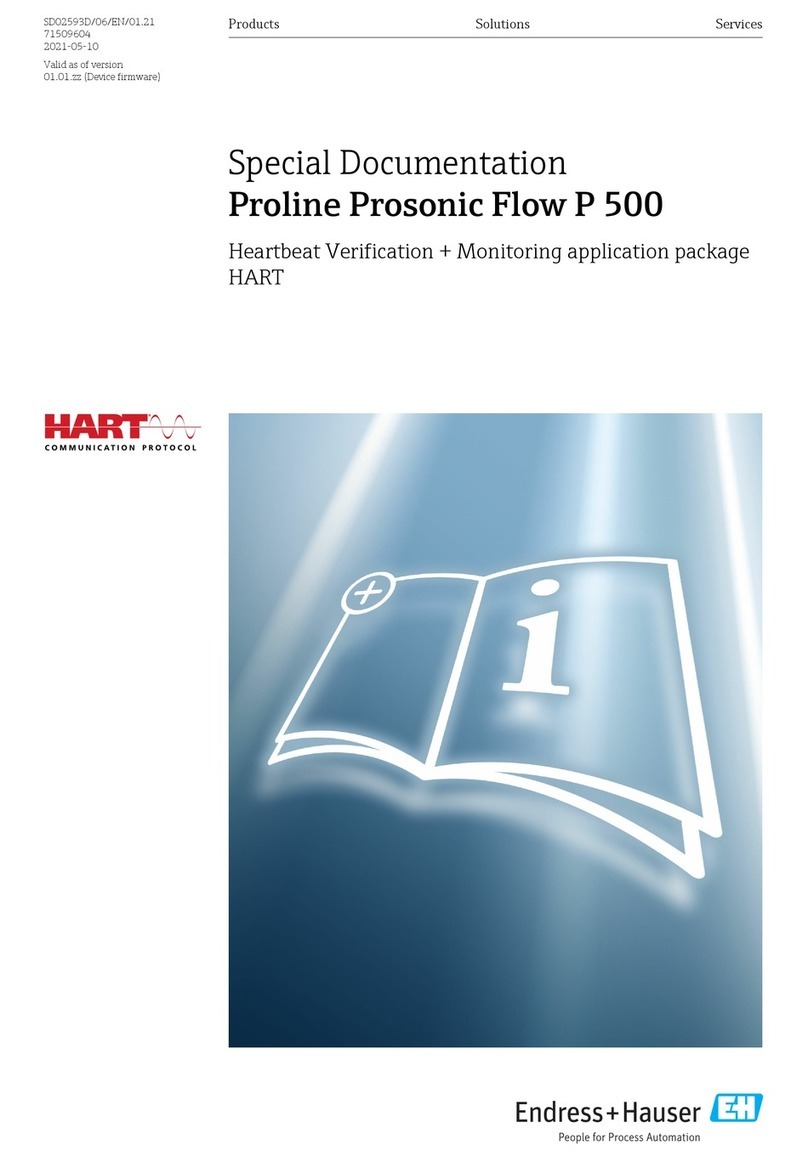 Endress+Hauser Hart Proline Promag P 500 Operator's manual