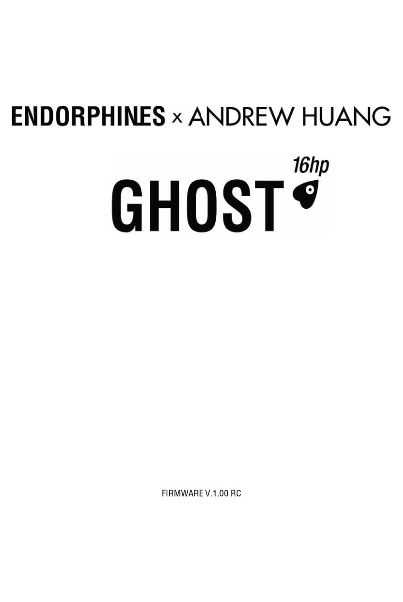 Endorphines ANDREW HUANG GHOST 16hp manual