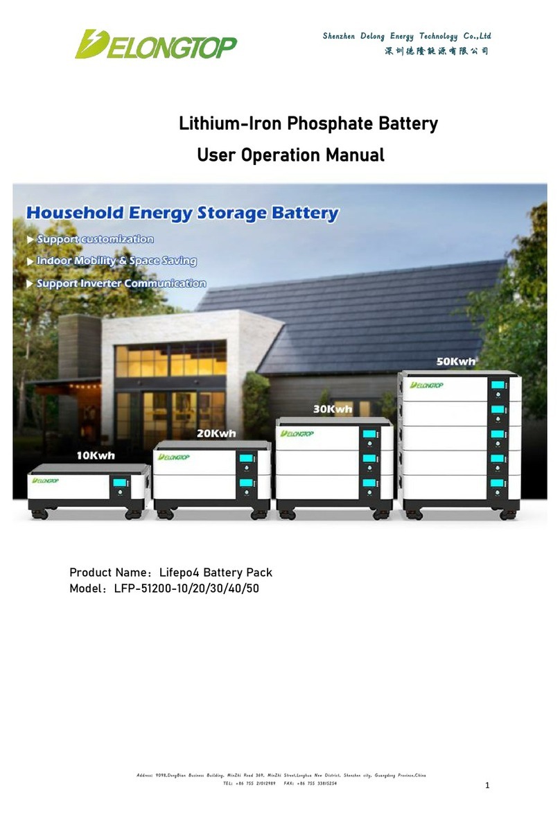 DELONGTOP LFP-51200-10 User's operation manual