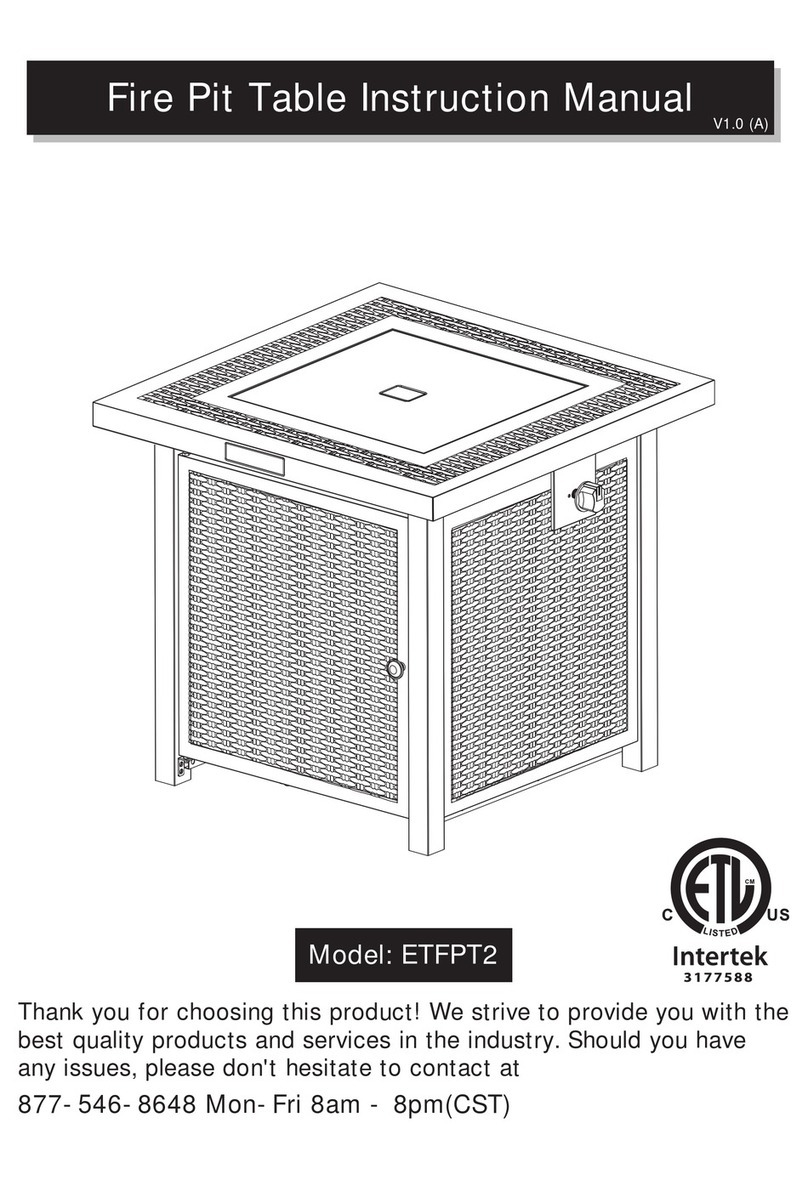 Ciays ETFPT2 instruction manual