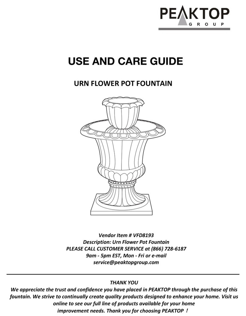 PEAKTOP VFD8193 User manual