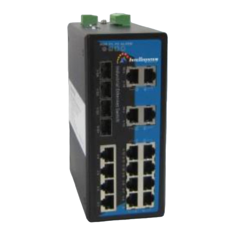 Intellisystem IT-ES3020-IU-4GS Series User manual Intellisystem IT-ES3020-IU-4GS Series User manual