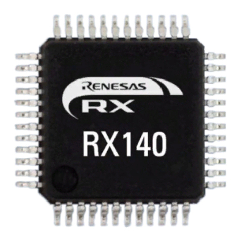 Renesas RX100 Series User manual