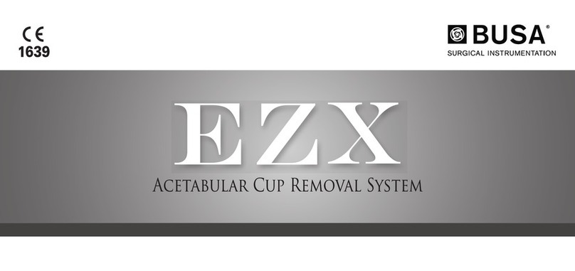 Busa EZX instructions