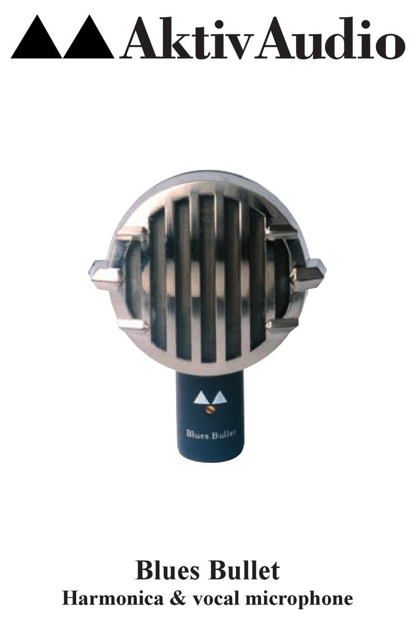Aktiv Audio Blues Bullet manual