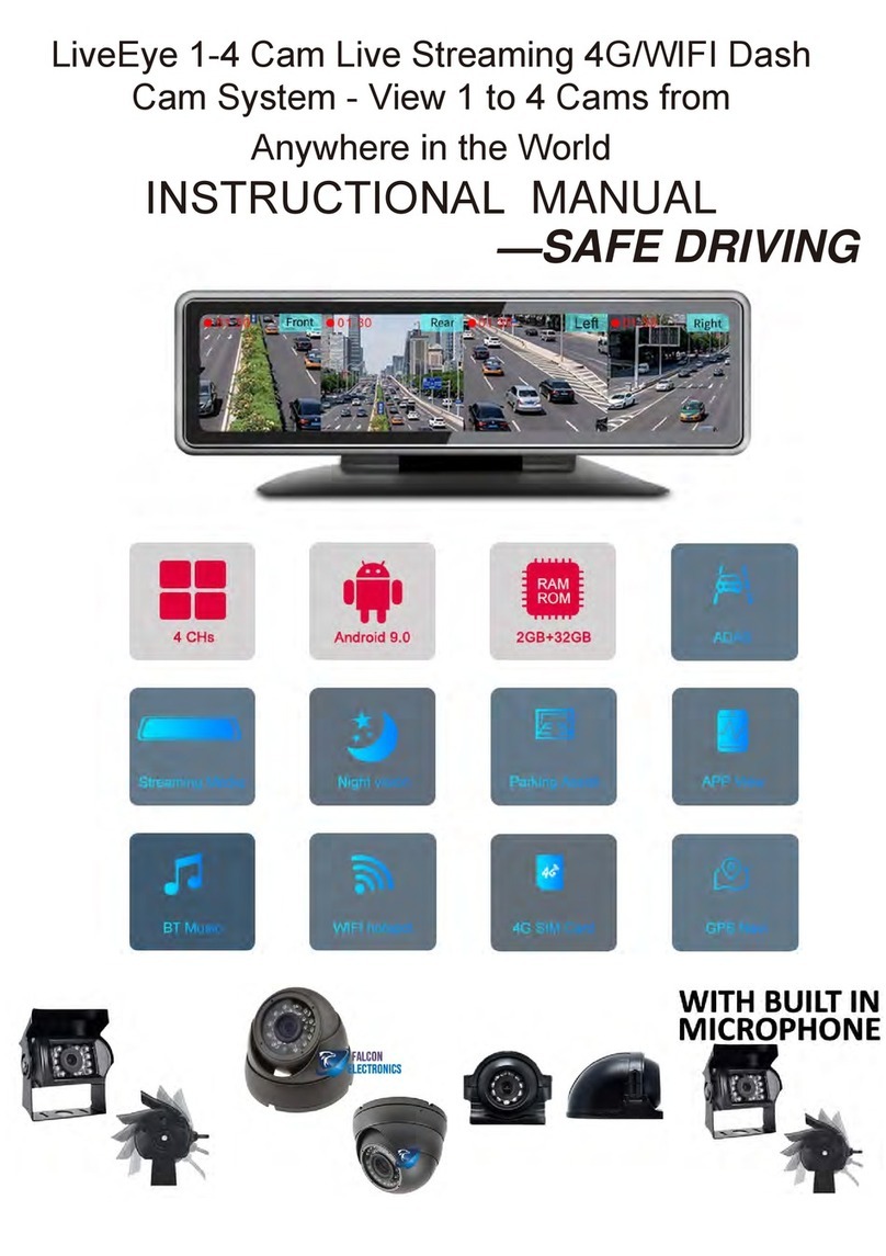 FalconEye Electronics LiveEye Instructional manual