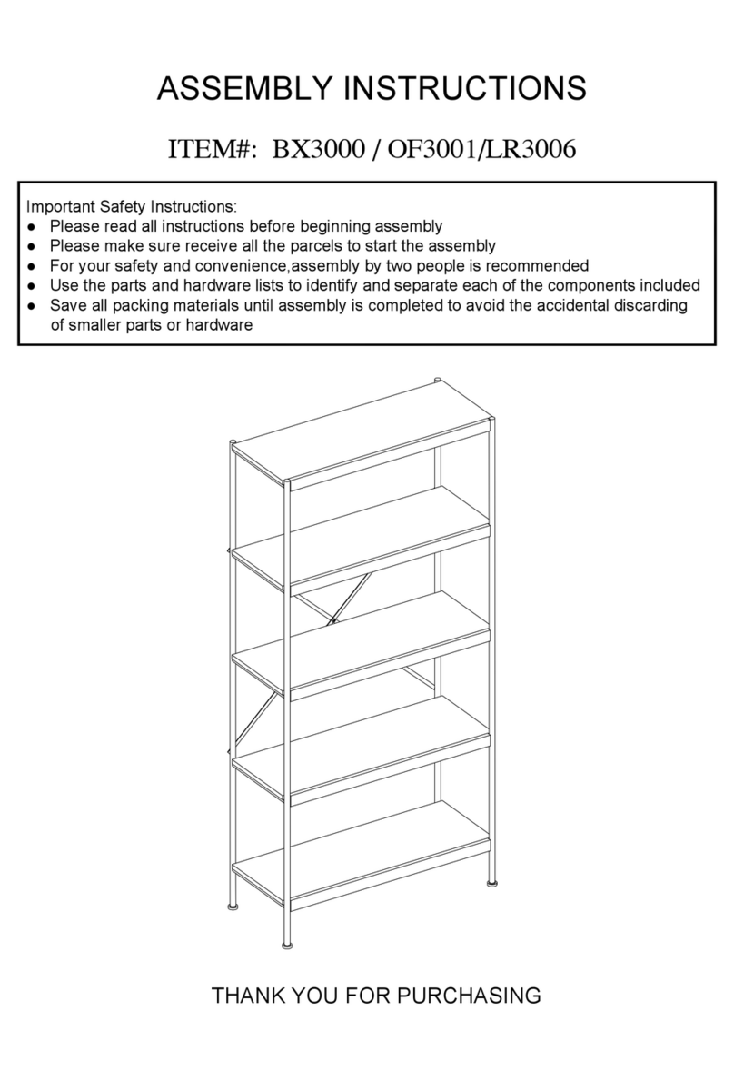 Saint Birch BX3000 User manual