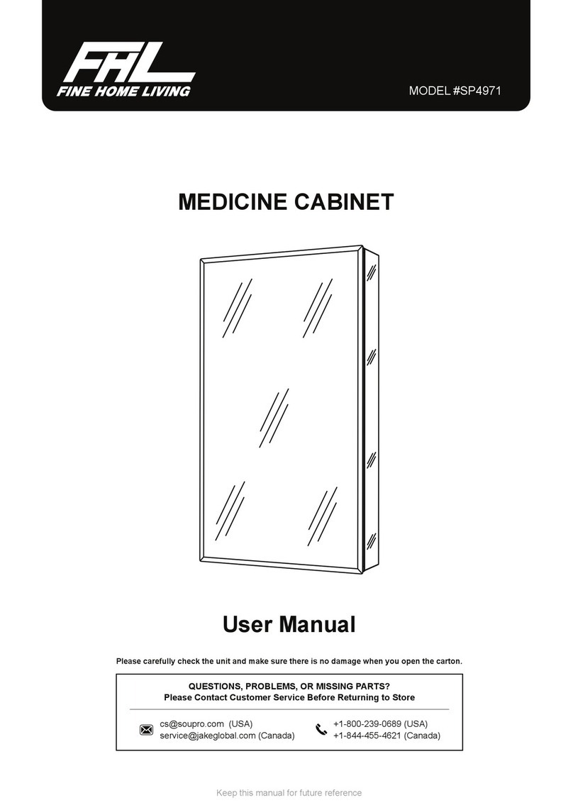 FHL SP4971 user manual