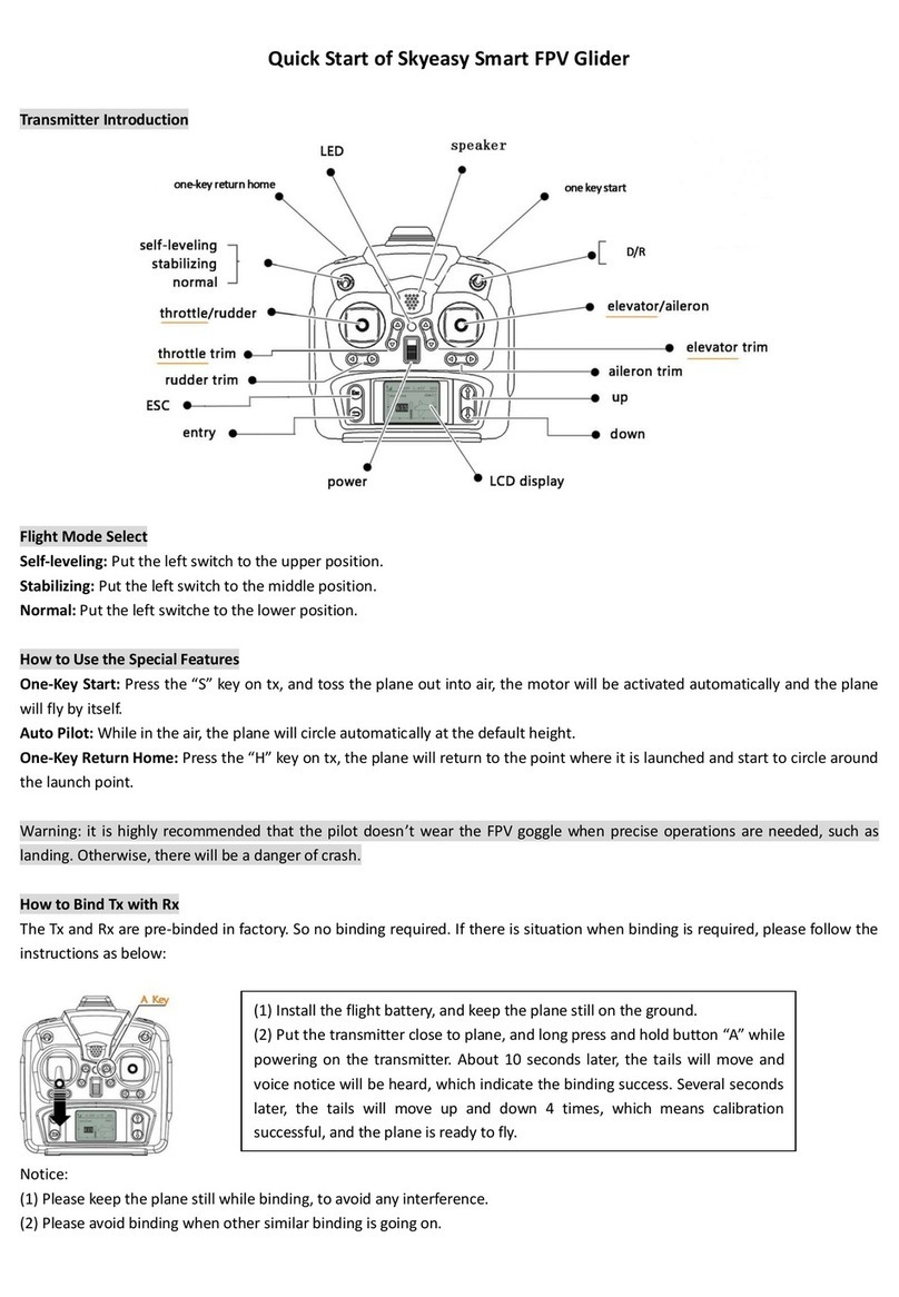 Topwing Skyeasy Smart FPV Glider User manual