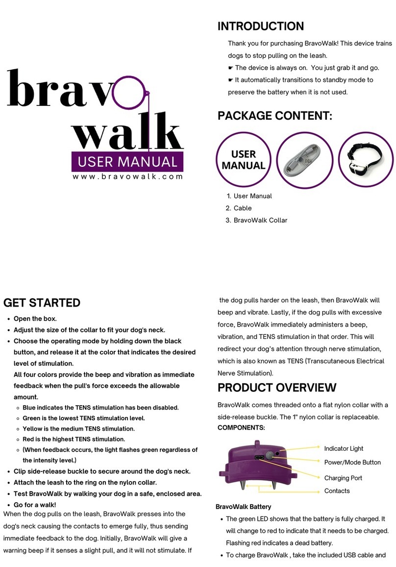 BravoWalk BravoWalk user manual