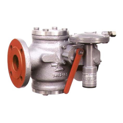 3L.P. GAS ICN manual