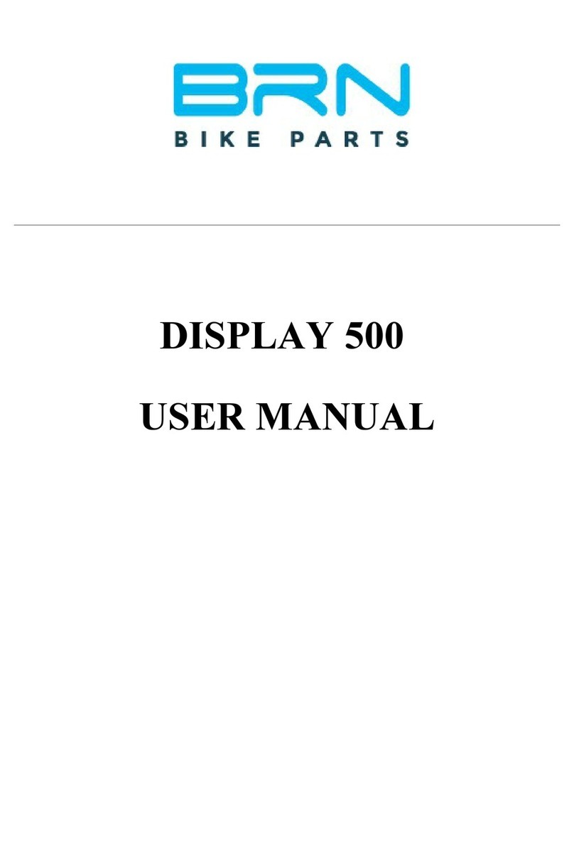 BRN DISPLAY 500 user manual