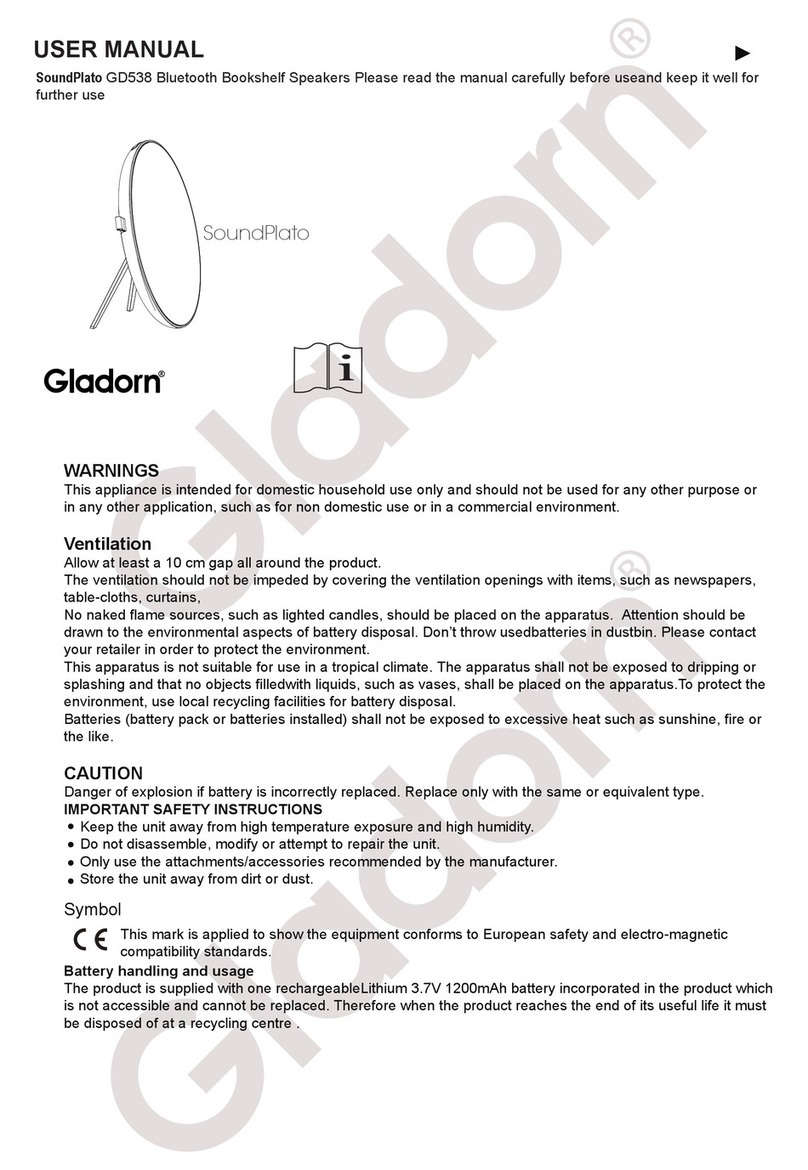 Gladorn SoundPlato GD538 user manual