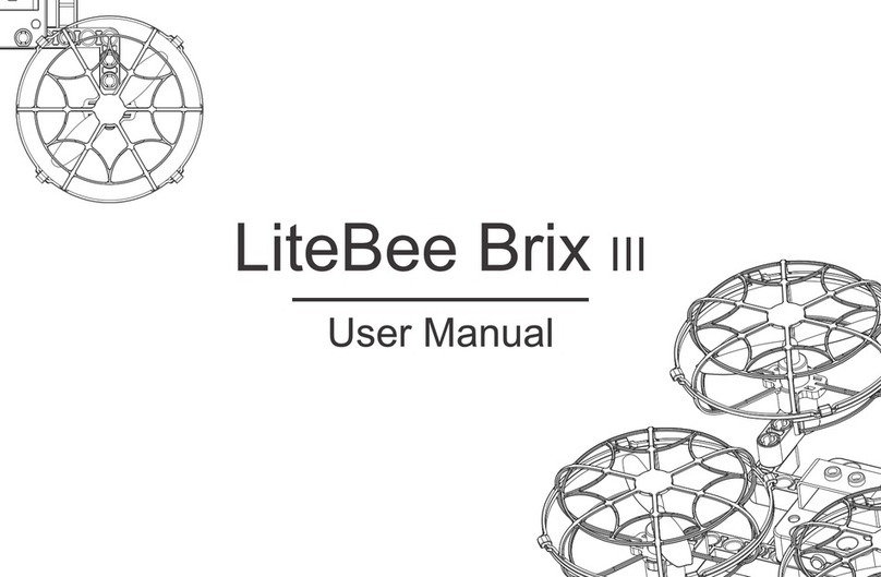 LiteBee Brix III user manual