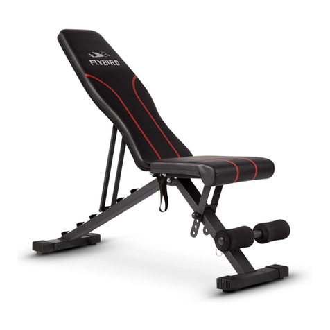 FLYBIRD FB-18YLD006 User manual