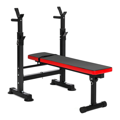 BalanceFrom Everyday Essentials RS40 user manual