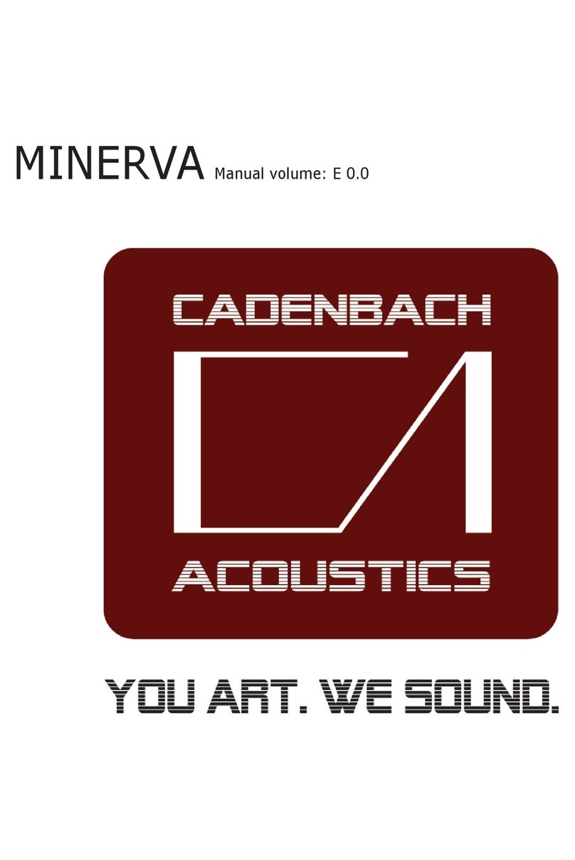 cadenbach MINERVA quick start guide