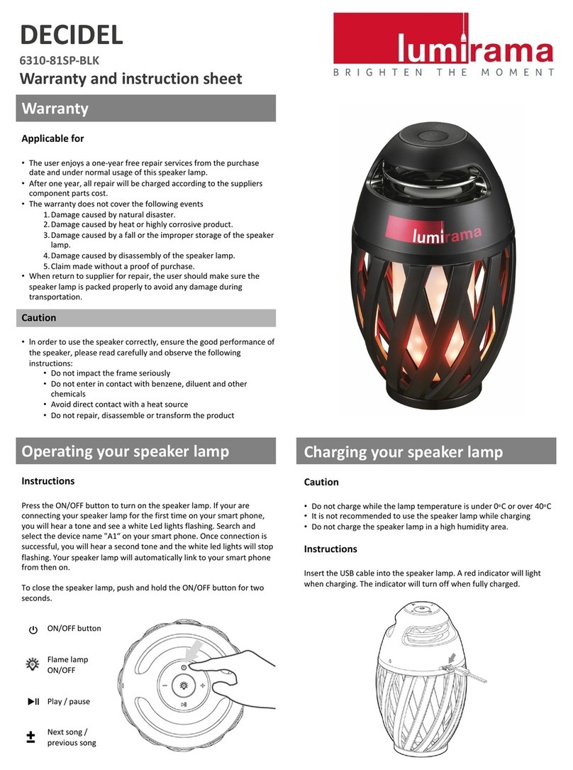 Lumirama 6310-81SP-BLK instruction sheet