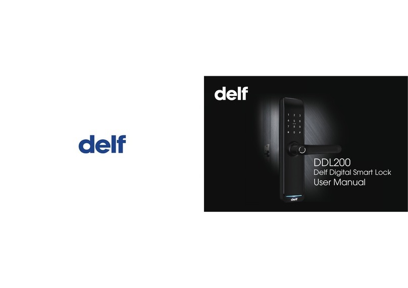 delf DDL200 user manual delf DDL200 user manual