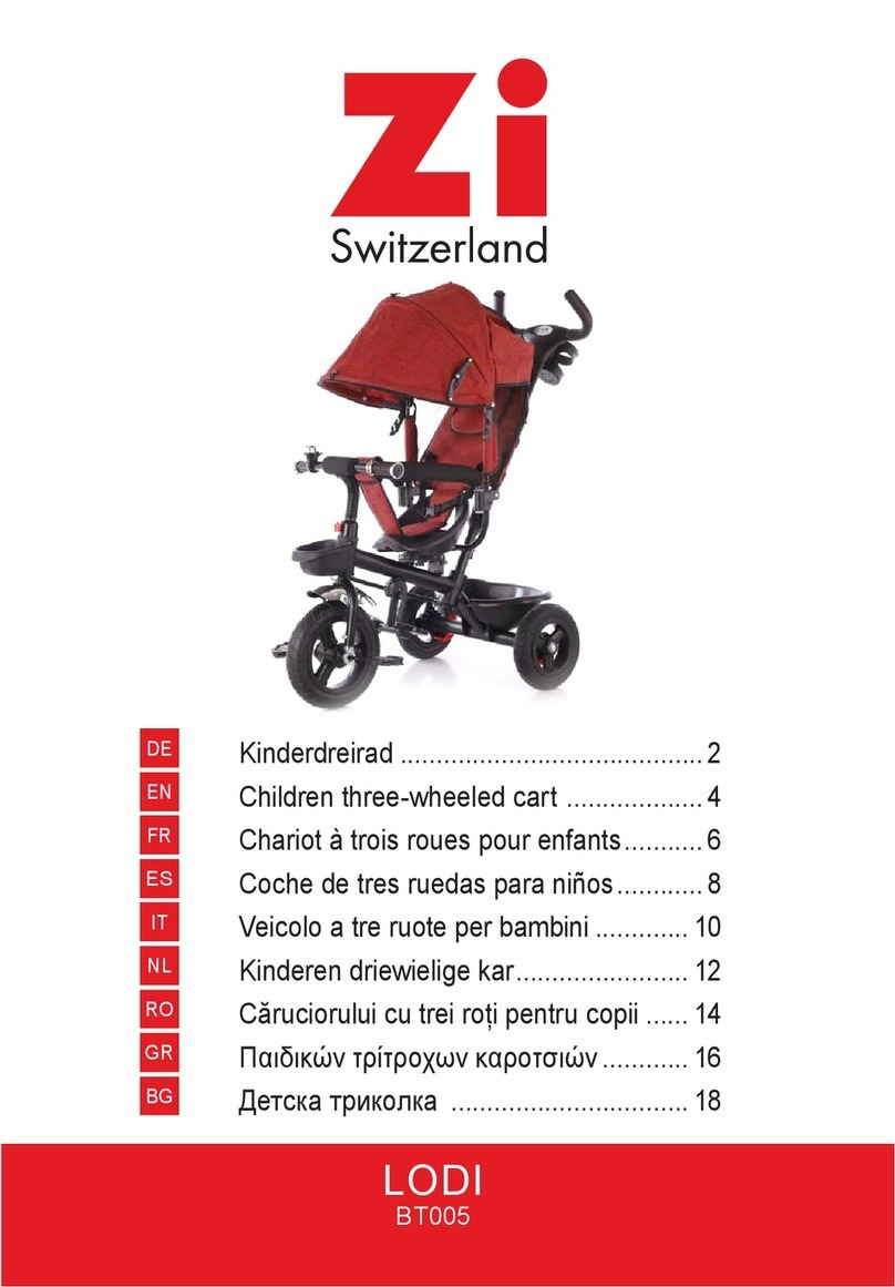 Zi LODI BT005 User manual