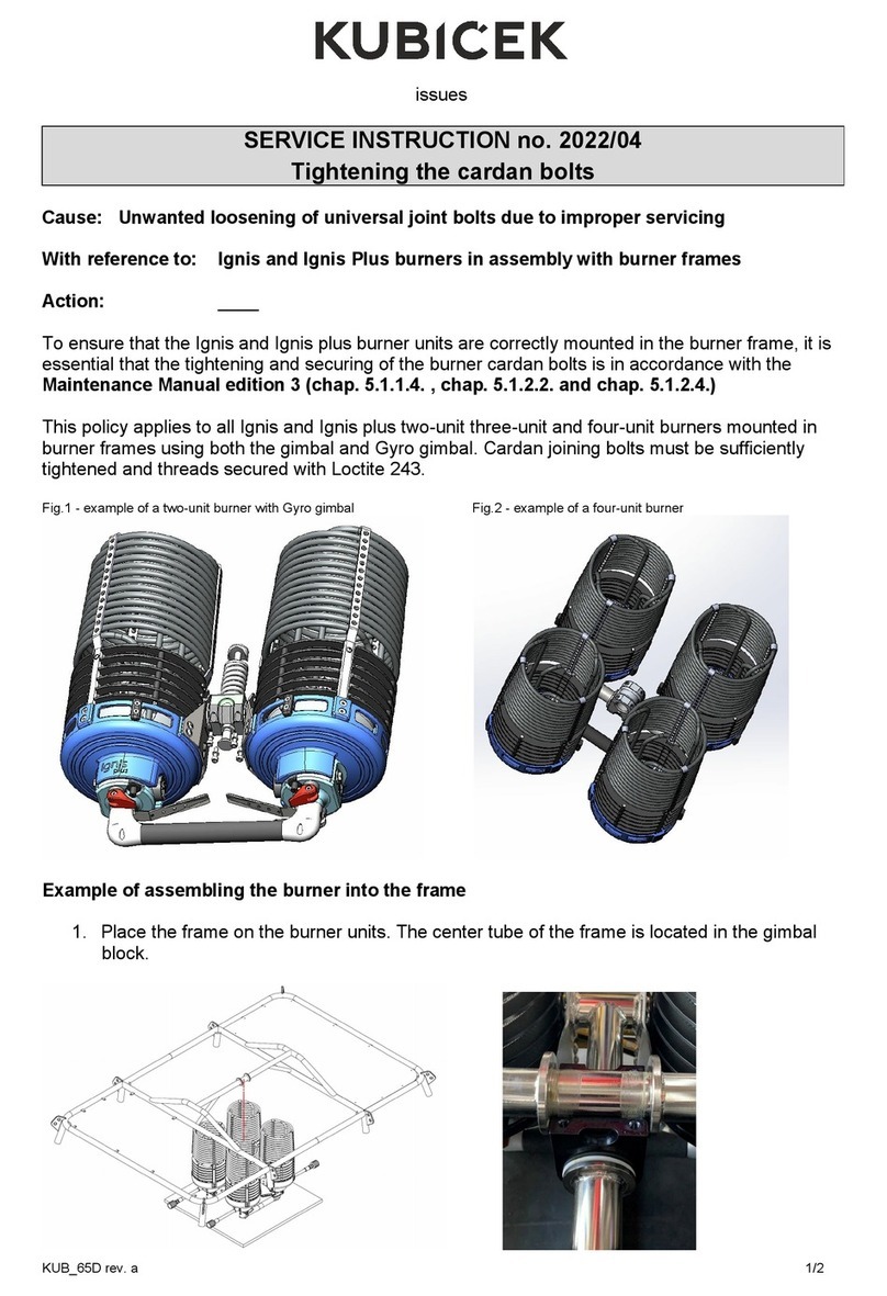 KUBICEK Ignis Service instruction
