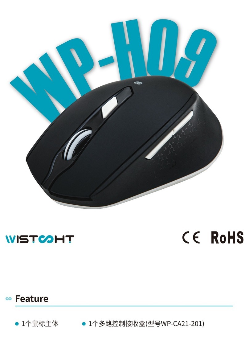 WISTOPHT WP-H09 manual