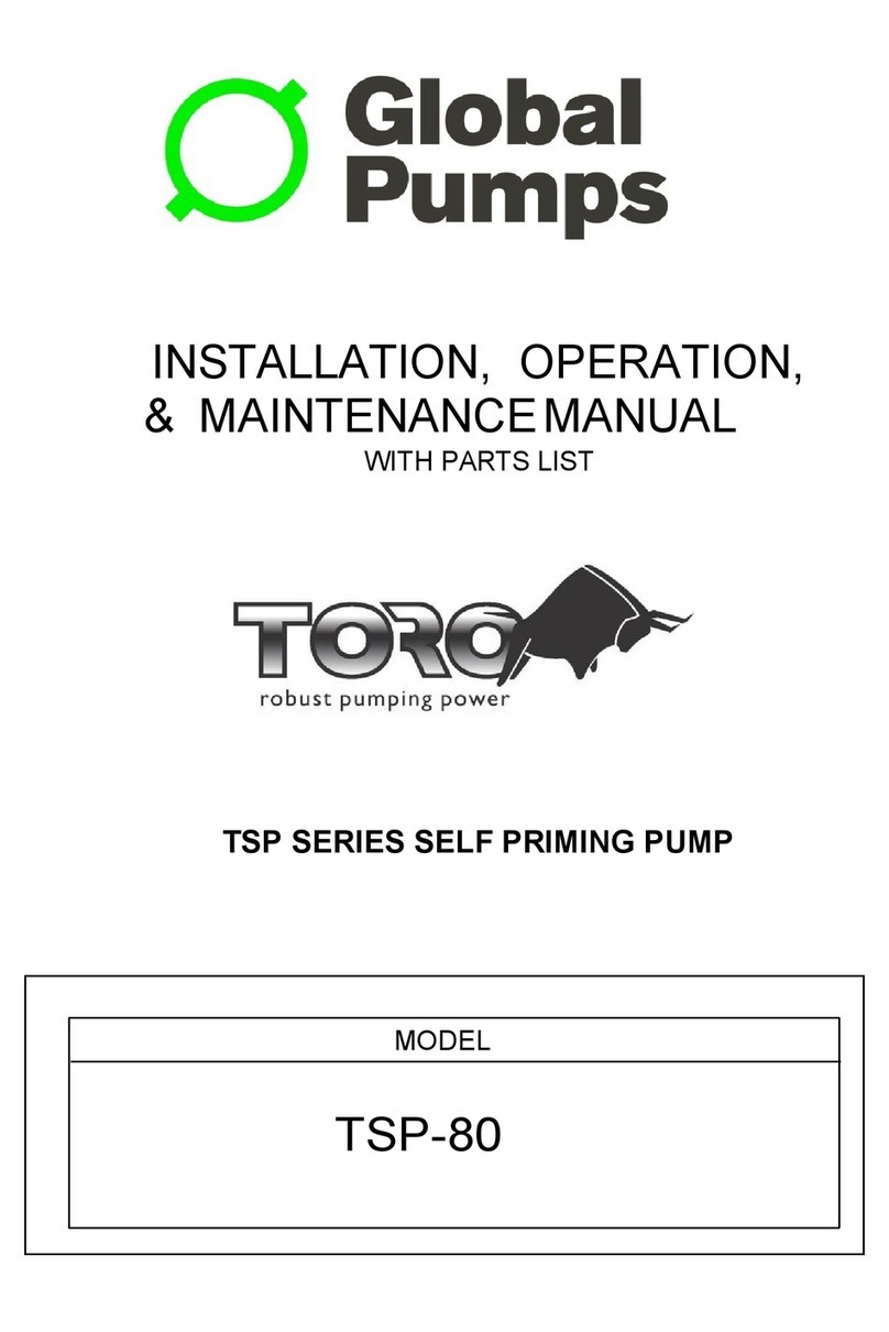 Global Pumps TSP Series manual