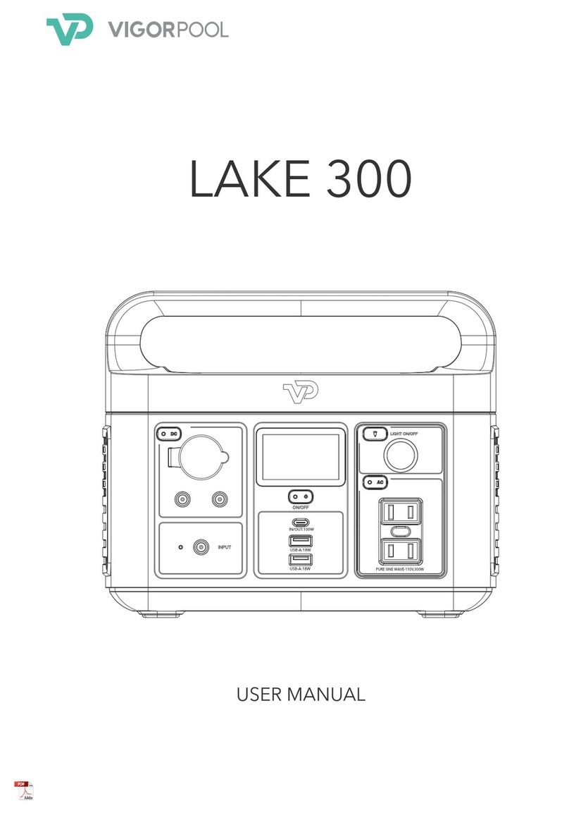 VigorPool LAKE 300 user manual