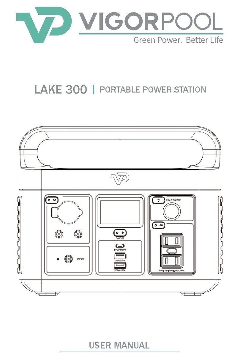 VigorPool LAKE 300 user manual
