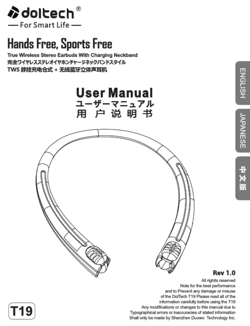 DolTech T19 user manual