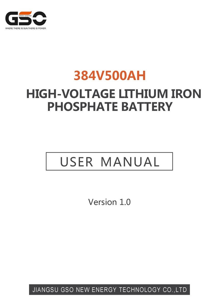 GSO 384V500AH user manual