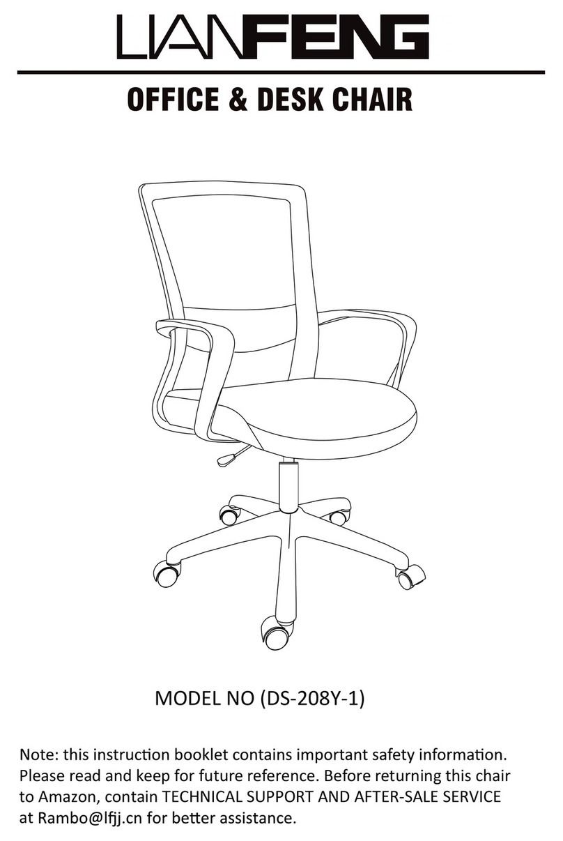 LianFeng DS-208Y-1 manual
