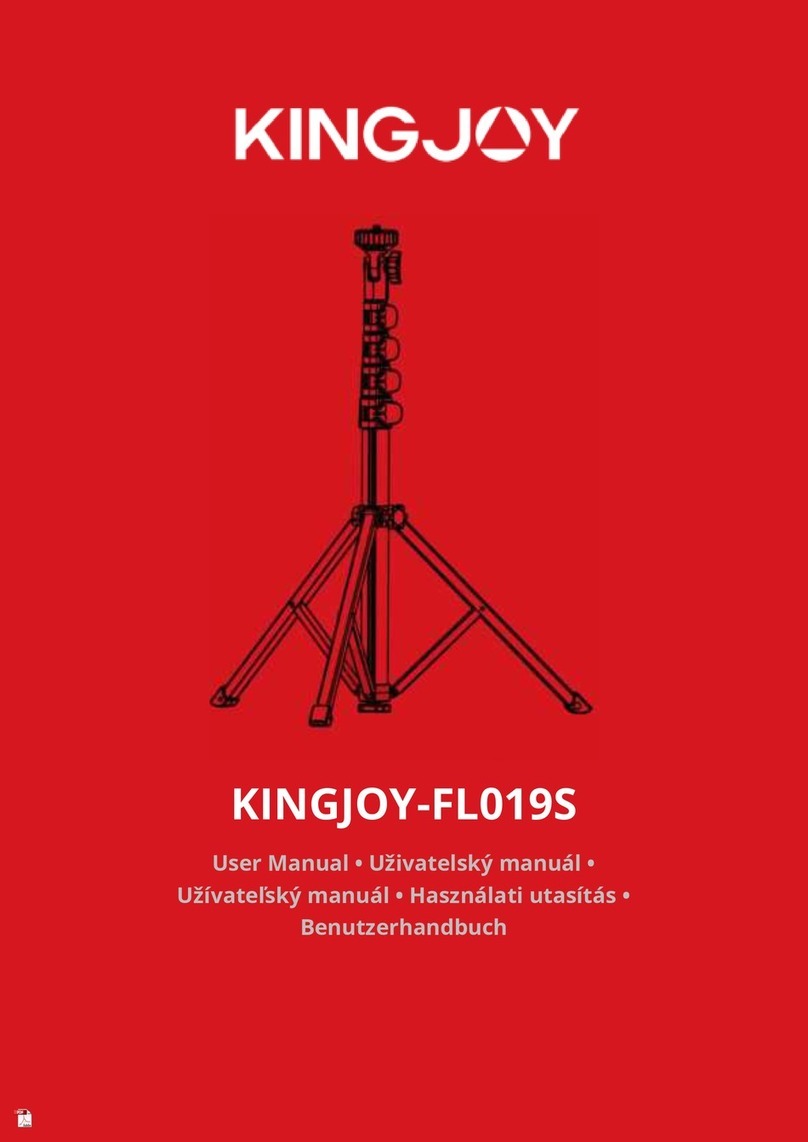 KINGJOY FL019S user manual
