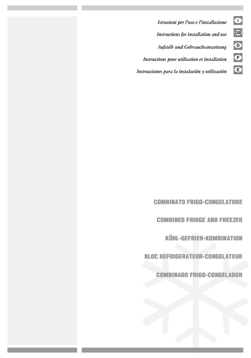 VEDETTE CS6282SI Instructions for installation and use