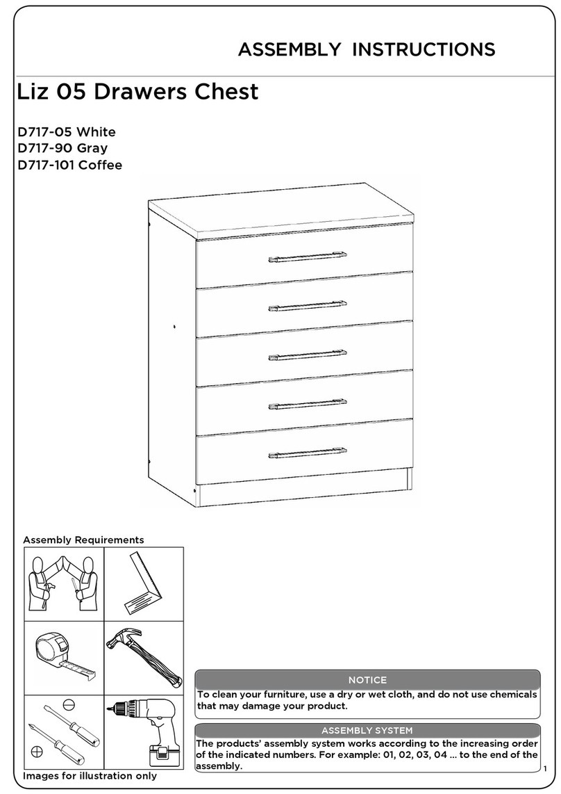 overstock Liz 05 User manual