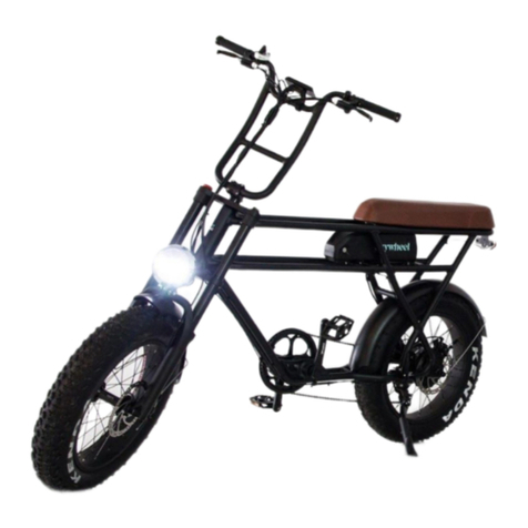 EzyWheel EzyOne 2020 user manual
